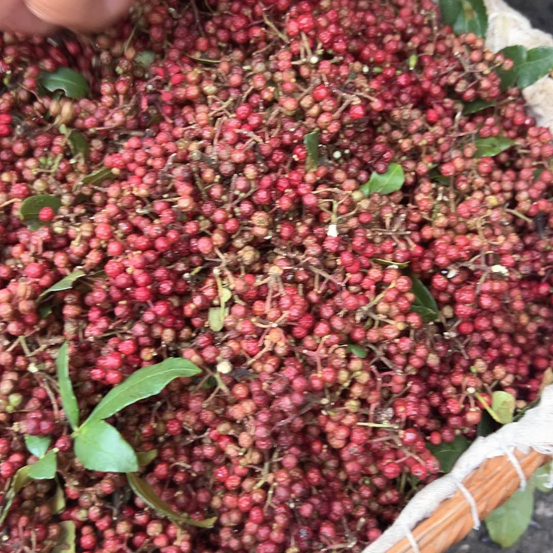 中国大陆新鲜花椒一斤包邮