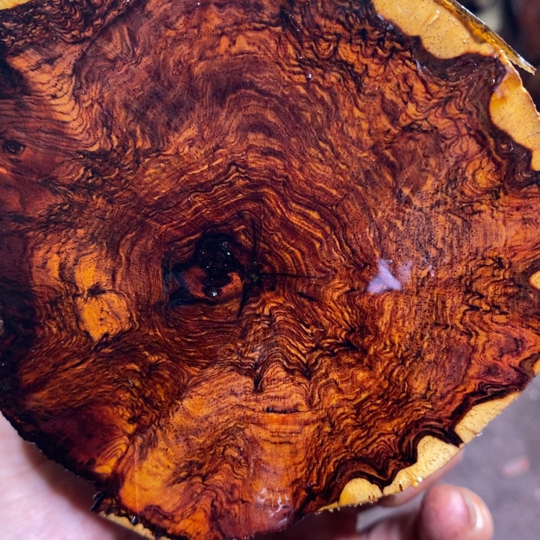 用***9有机玻璃在线函数等方面