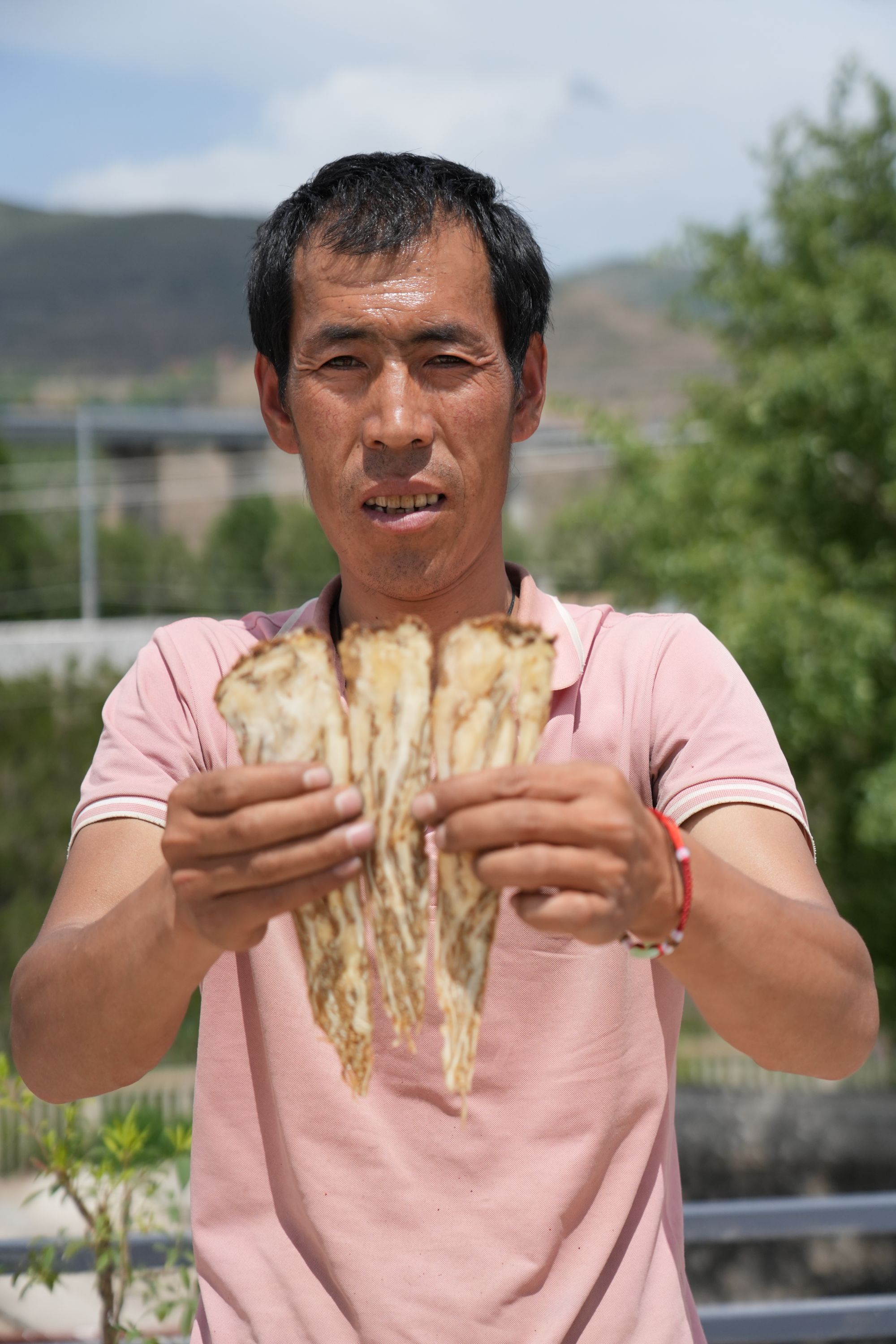 甘肃岷县当归佛手片老农自己种植加工