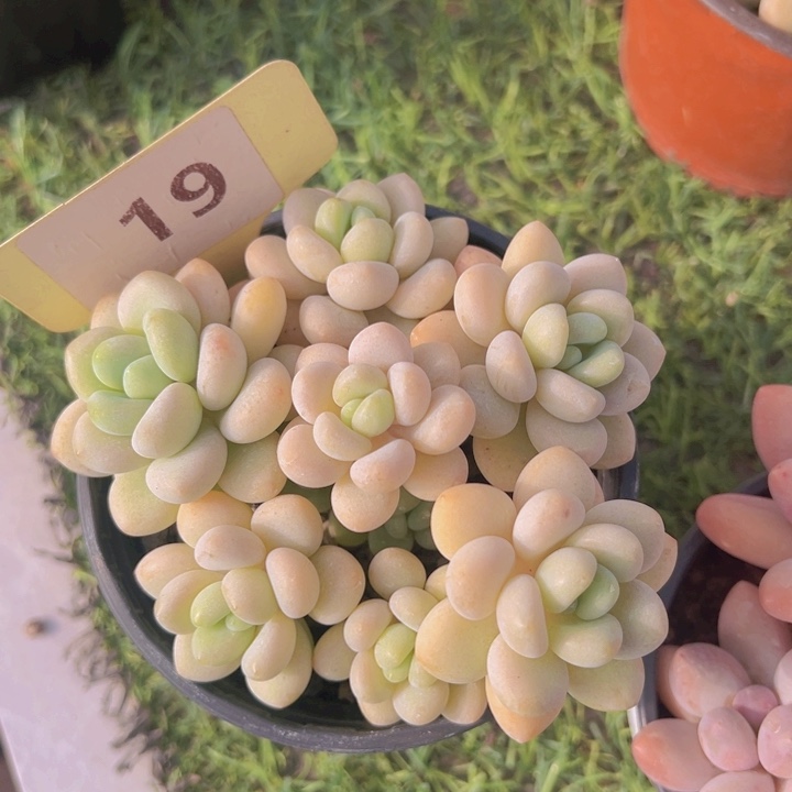 健健康康平平安安