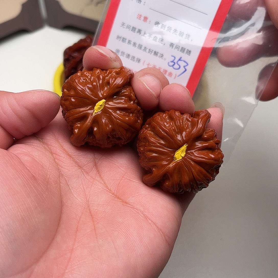 维***爸353。 37尺。 白狮子