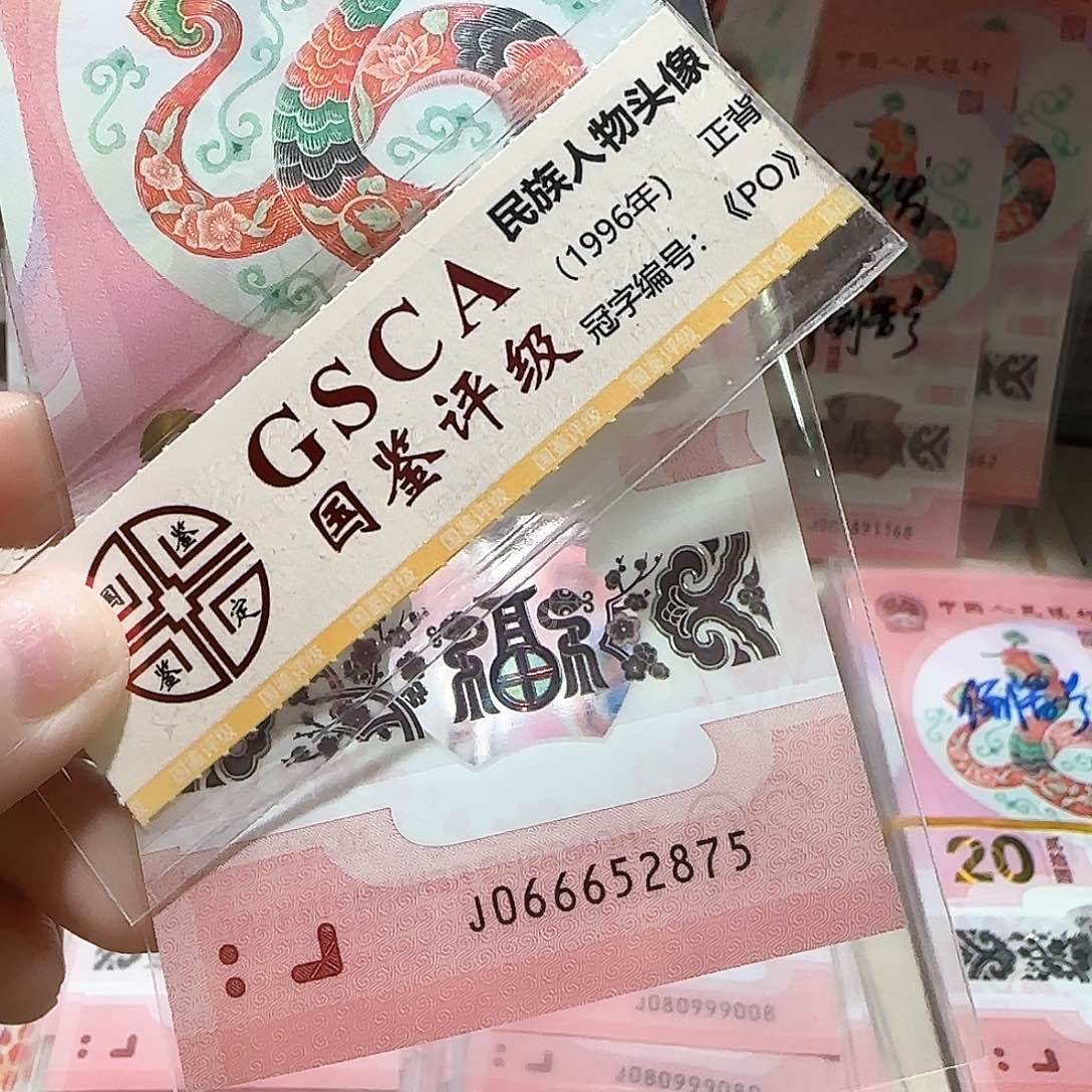 纸066652875。。。。。。。。。。。