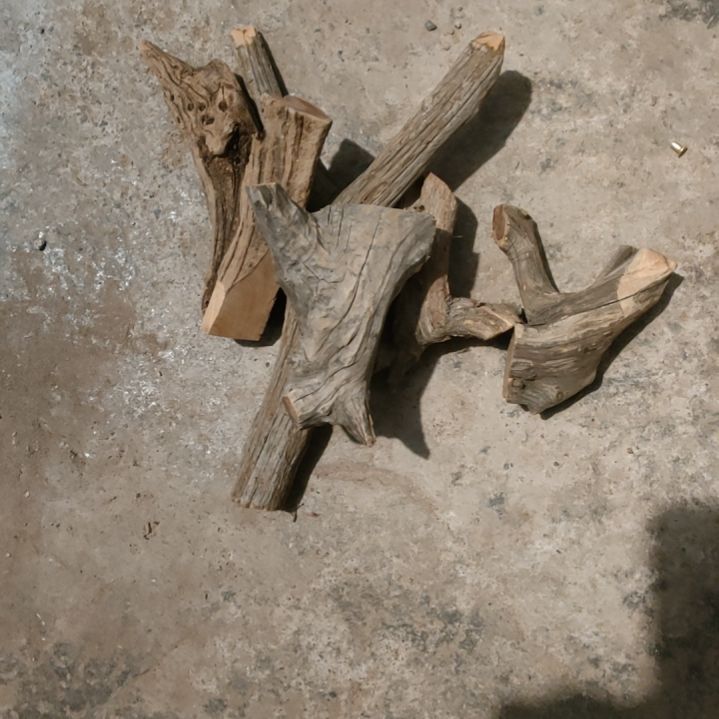 柏木（崖柏）張**！崖柏随型弓