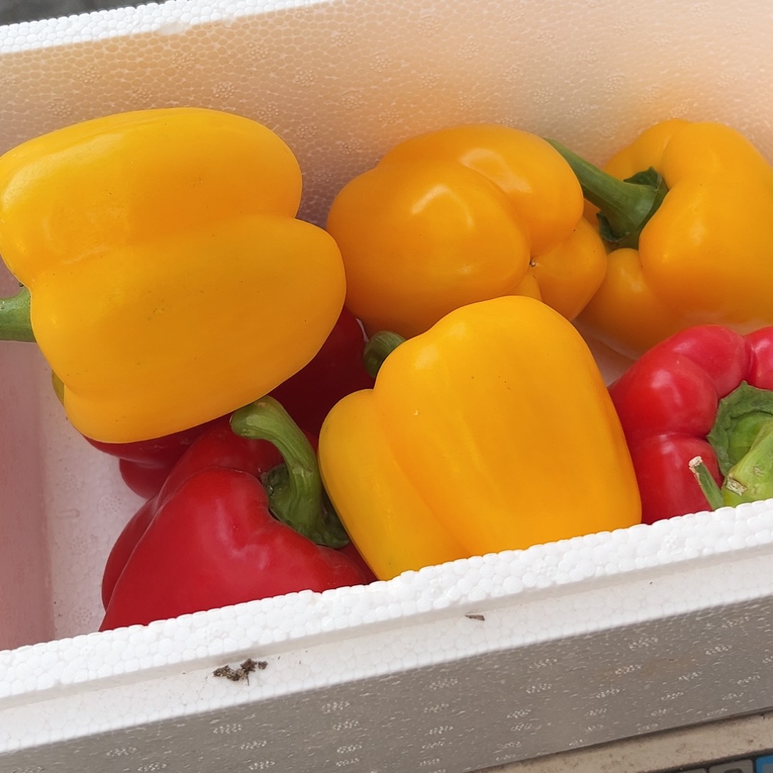 红黄彩椒3斤红黄彩椒