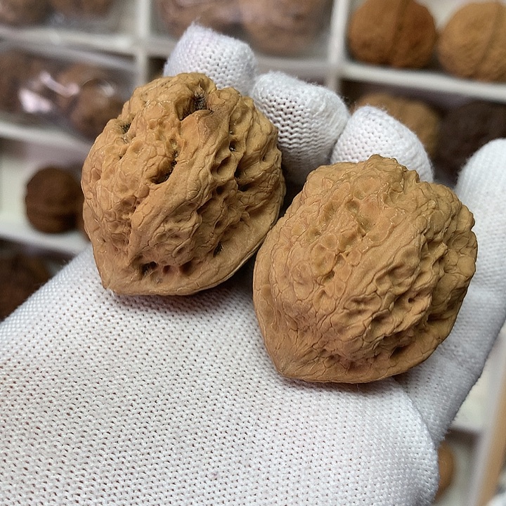 核桃39尺古坨蟾8号
