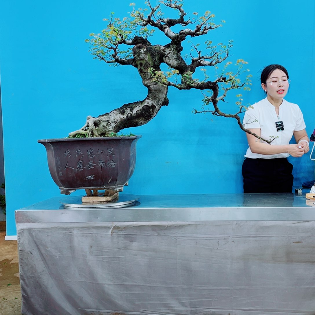 小*哥岭南文化艺术中心的