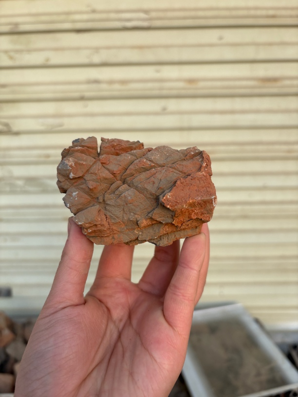 四大奇石之首灵璧石滴水莲花