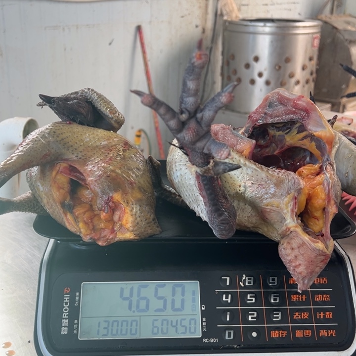 一号土鸡食用农产品中国大陆浅***?