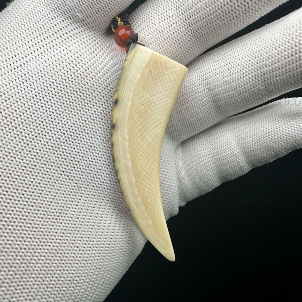 B1841天然猛犸牙牙尖62.2mm支持鉴定 假一罚四