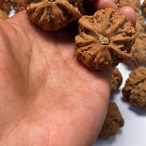 吊坠文玩核桃40尺寸全品宫灯