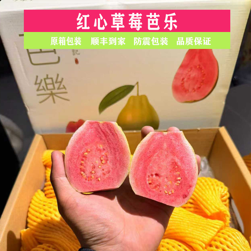 芭乐红心草莓芭乐4.5-5斤礼盒装