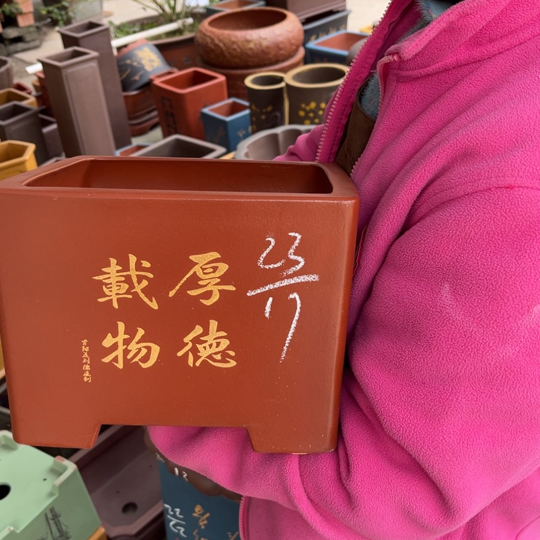 紫砂花盆盆景艺术