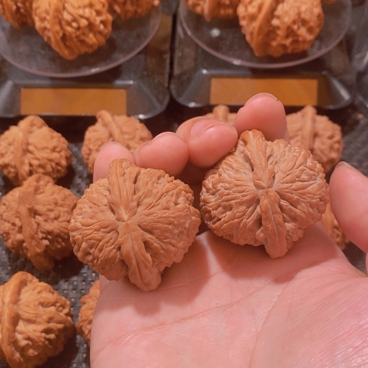 文玩核桃把件?****k白狮子40