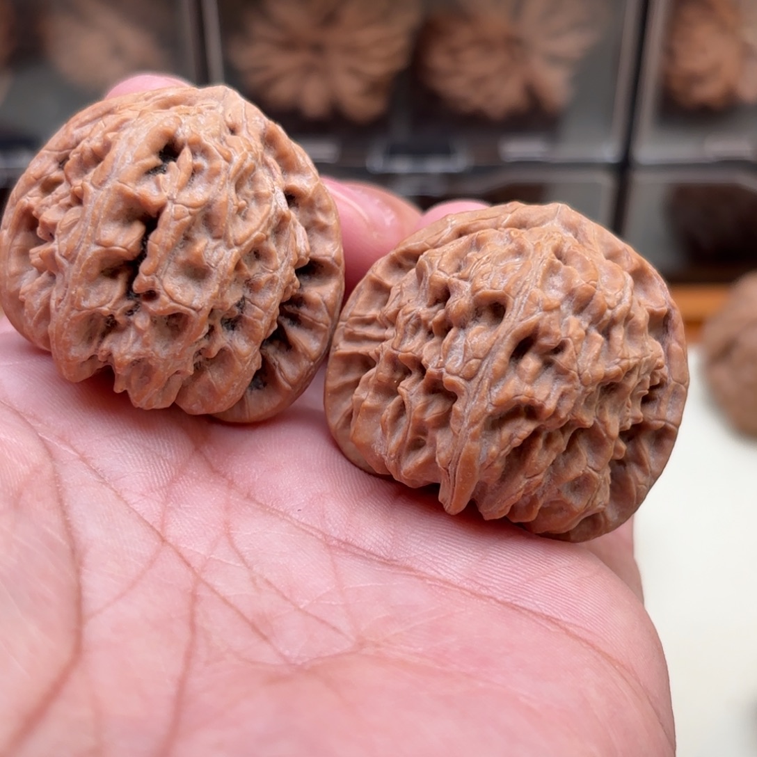 、***堅文玩核桃把件白狮子