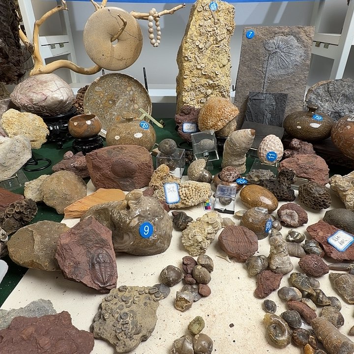 玉家居摆件家居标本