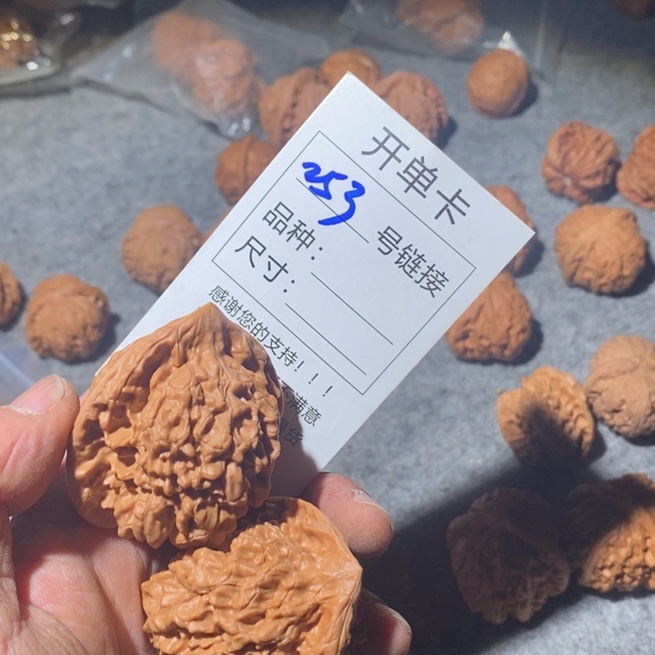 文玩核桃把件253家咯摸摸哦哦哦