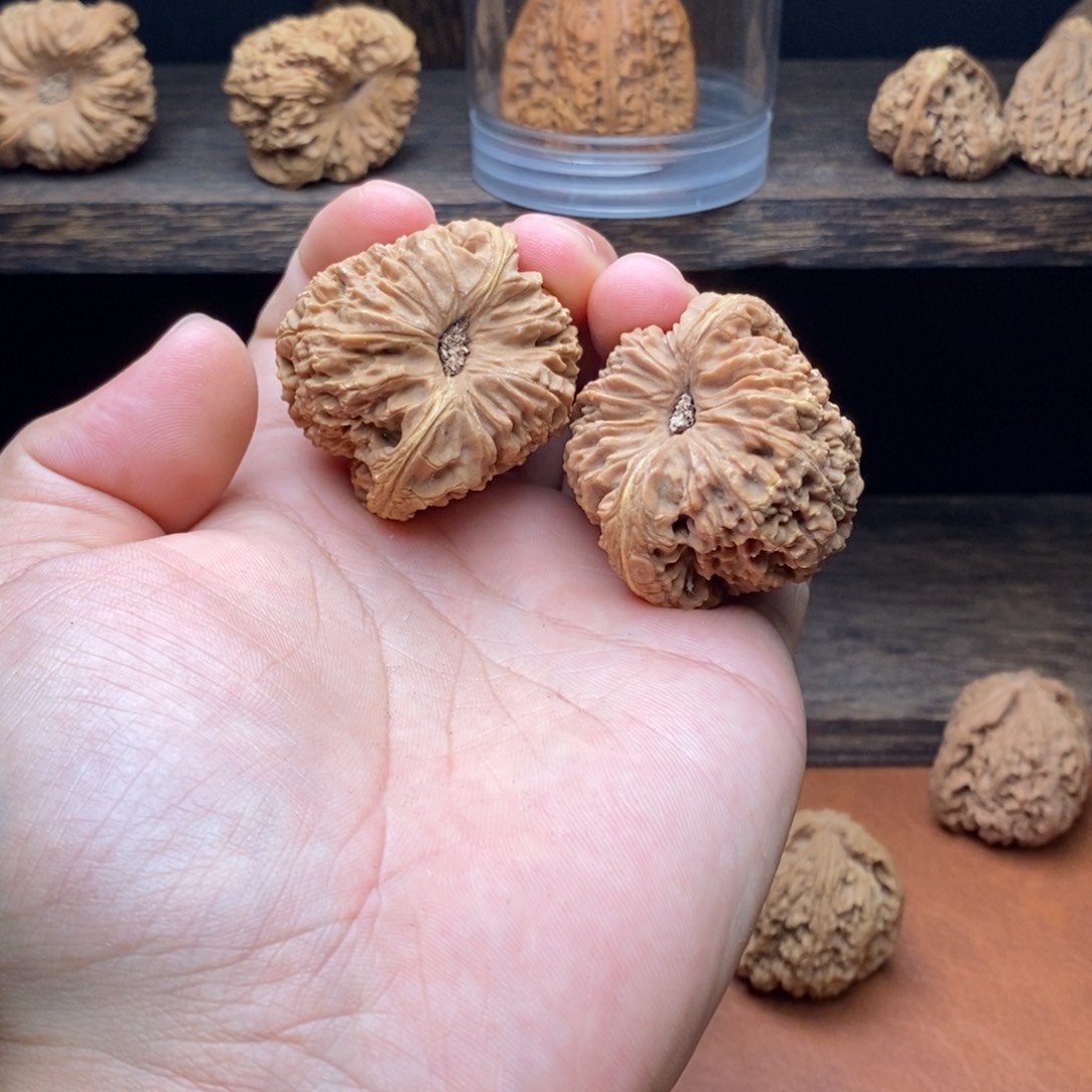 核桃凹底黄金甲文玩核桃