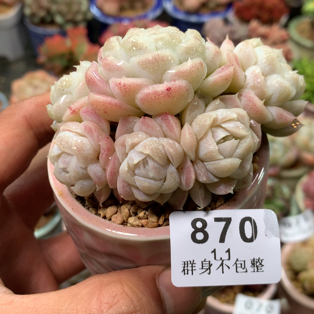 精控拇指盆1.1870