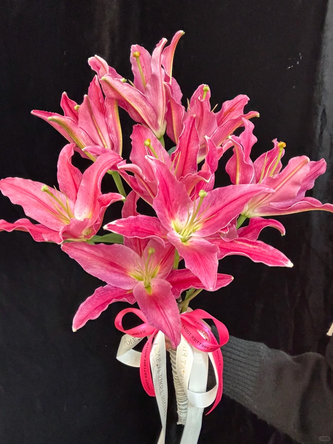 【源头优选】西诺红香水百合云南直发鲜花家居水养插花鲜切花