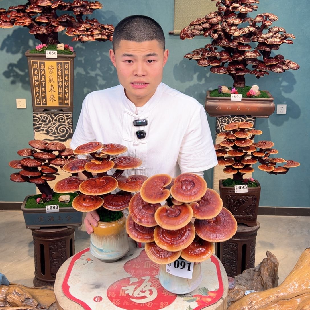 无花朵88888888888