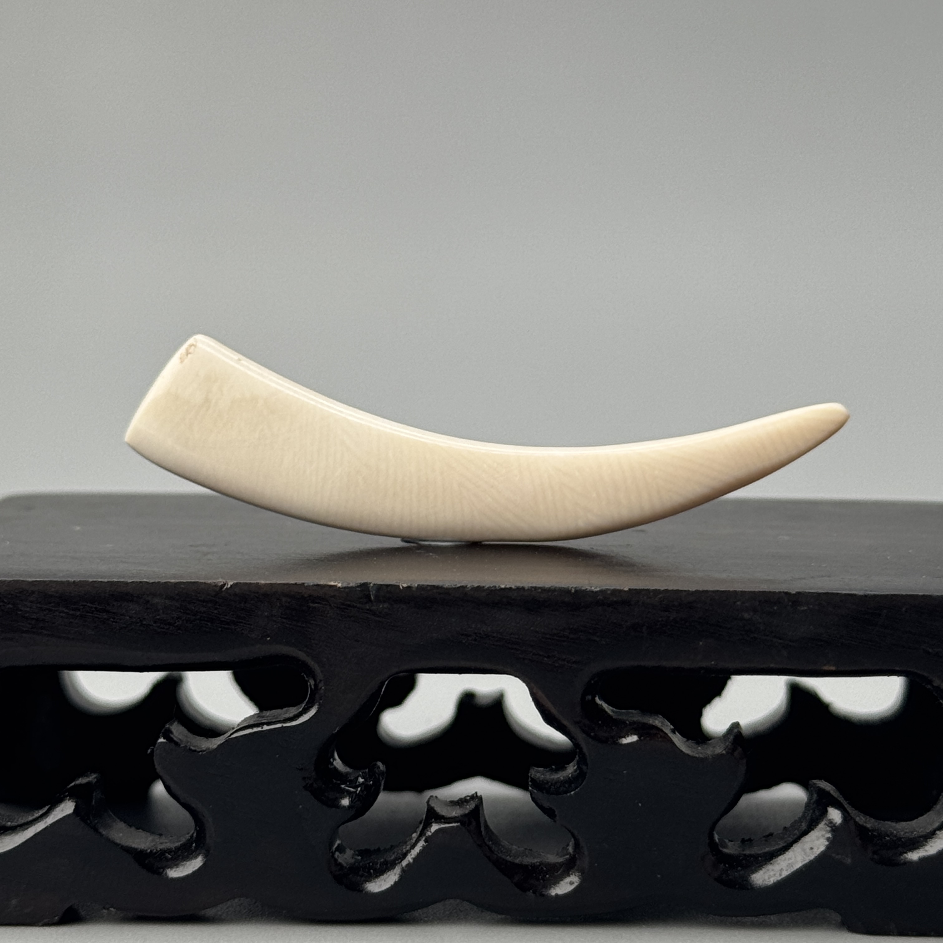 DEZHI/德志2g水印牙尖49*9*5mm猛犸牙默认打孔绑绳P333