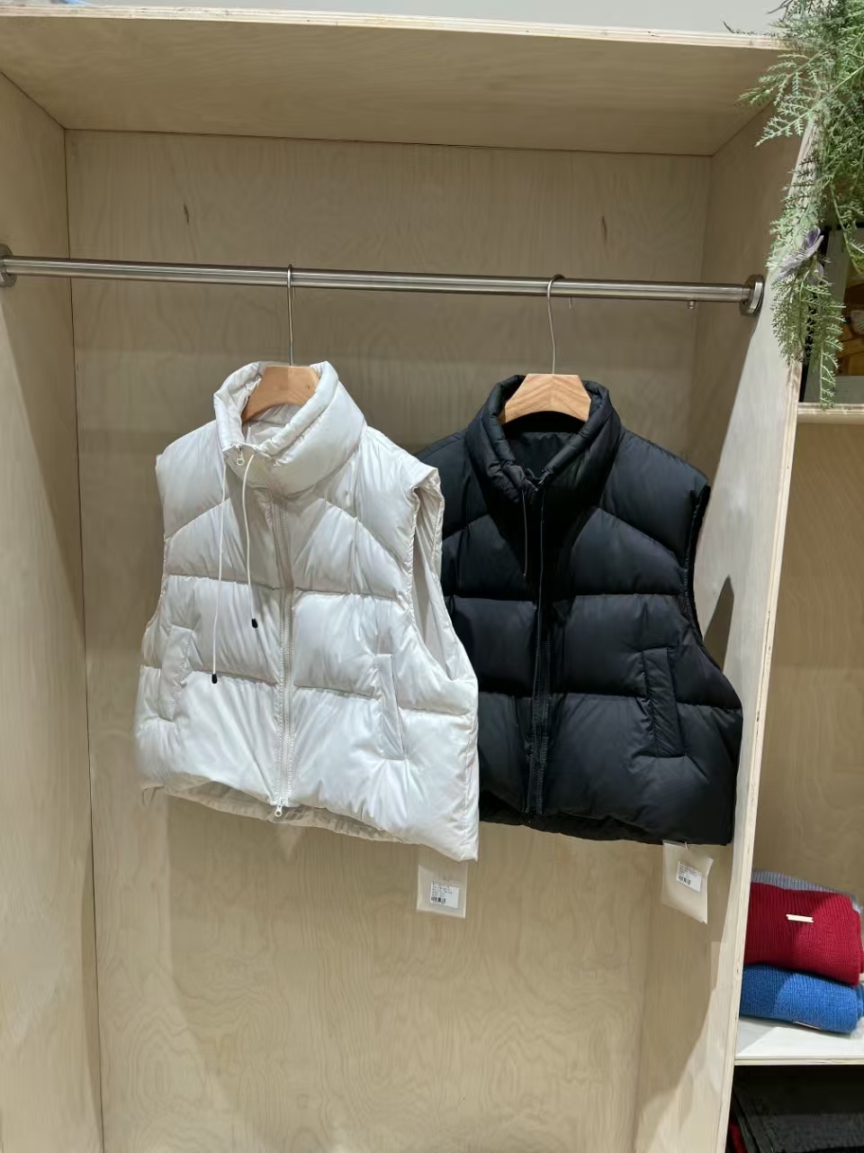 丽颖微胖定制  马甲
