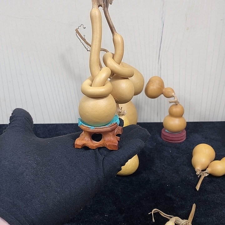 小***雅哈哈哈哈哈哈哈哈哈哈哈