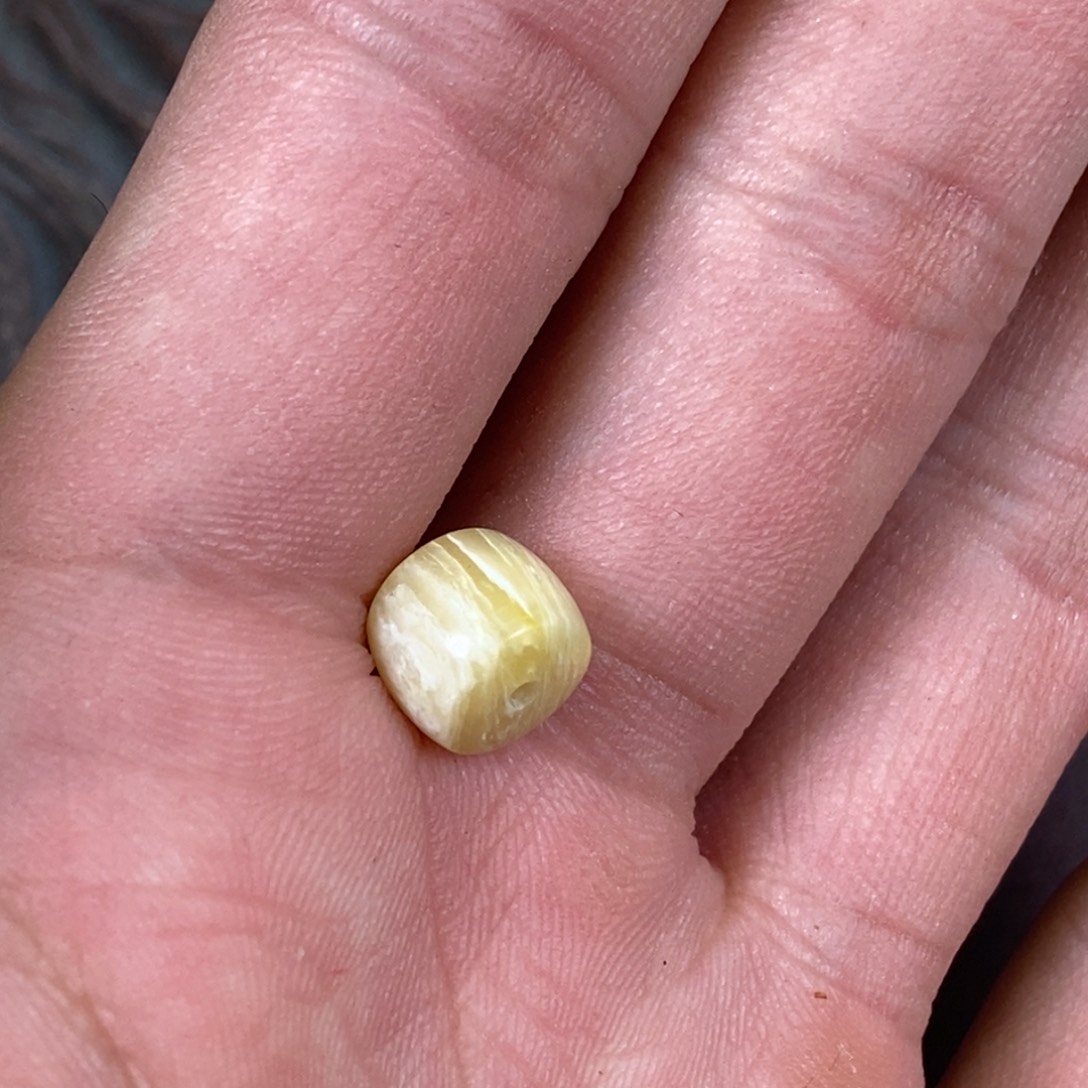 手串/手链驼骨配饰23