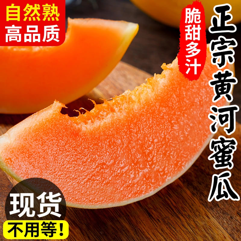 【头茬尝鲜价】头茬黄河蜜瓜新鲜当季水果软糯金红香瓜现摘甜瓜