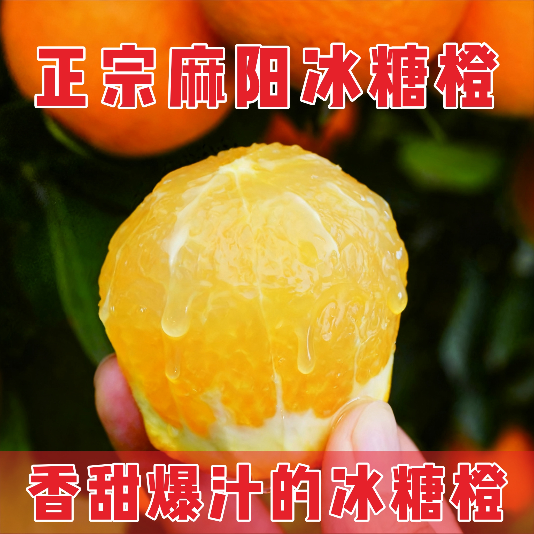 【麻阳冰糖橙】湖南麻阳冰糖橙爆汁无籽一整箱甘甜爆汁新鲜水果