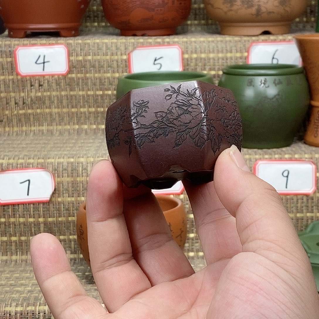 紫砂花盆我在等他