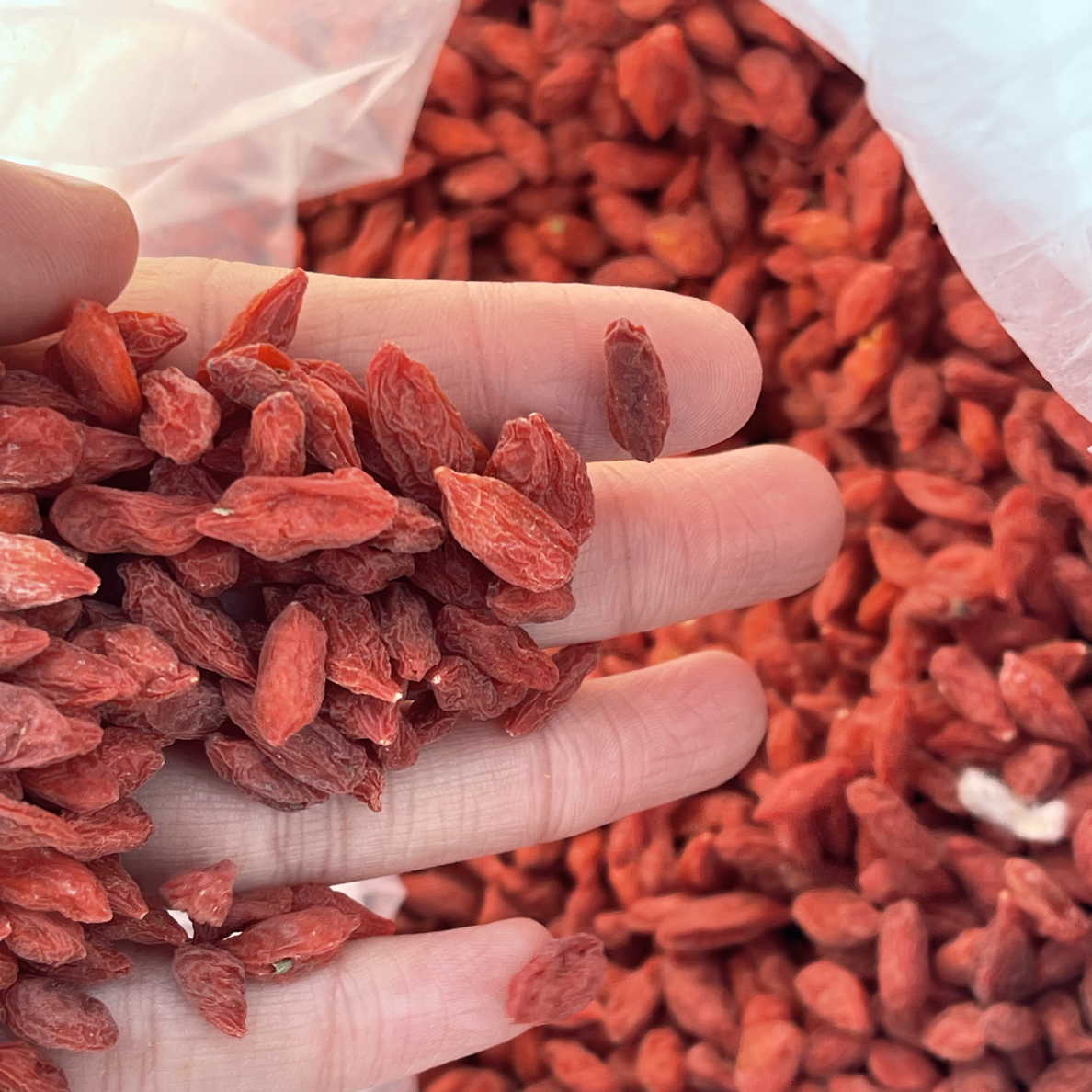 红枸杞农家免洗无硫可泡茶泡酒滋补干货