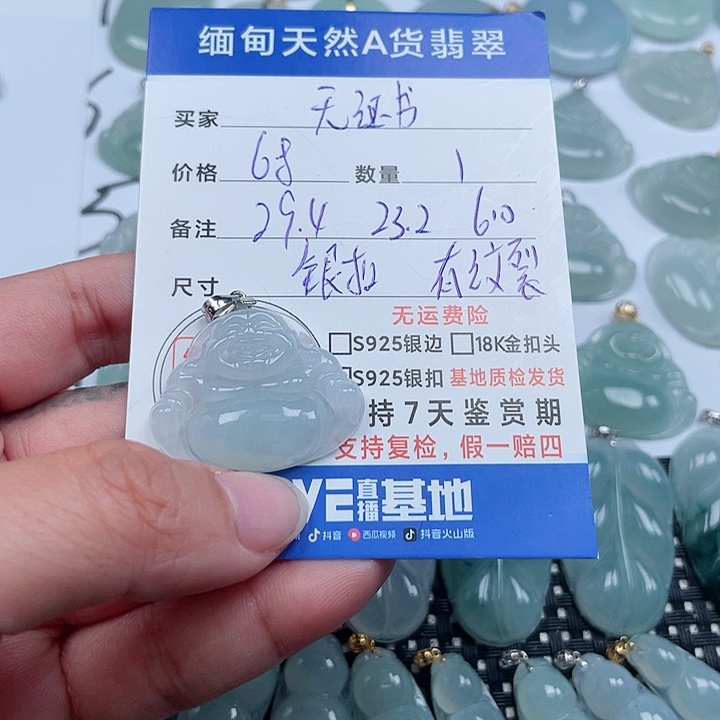 翡翠颈饰银S925镶嵌天然翡翠吊坠