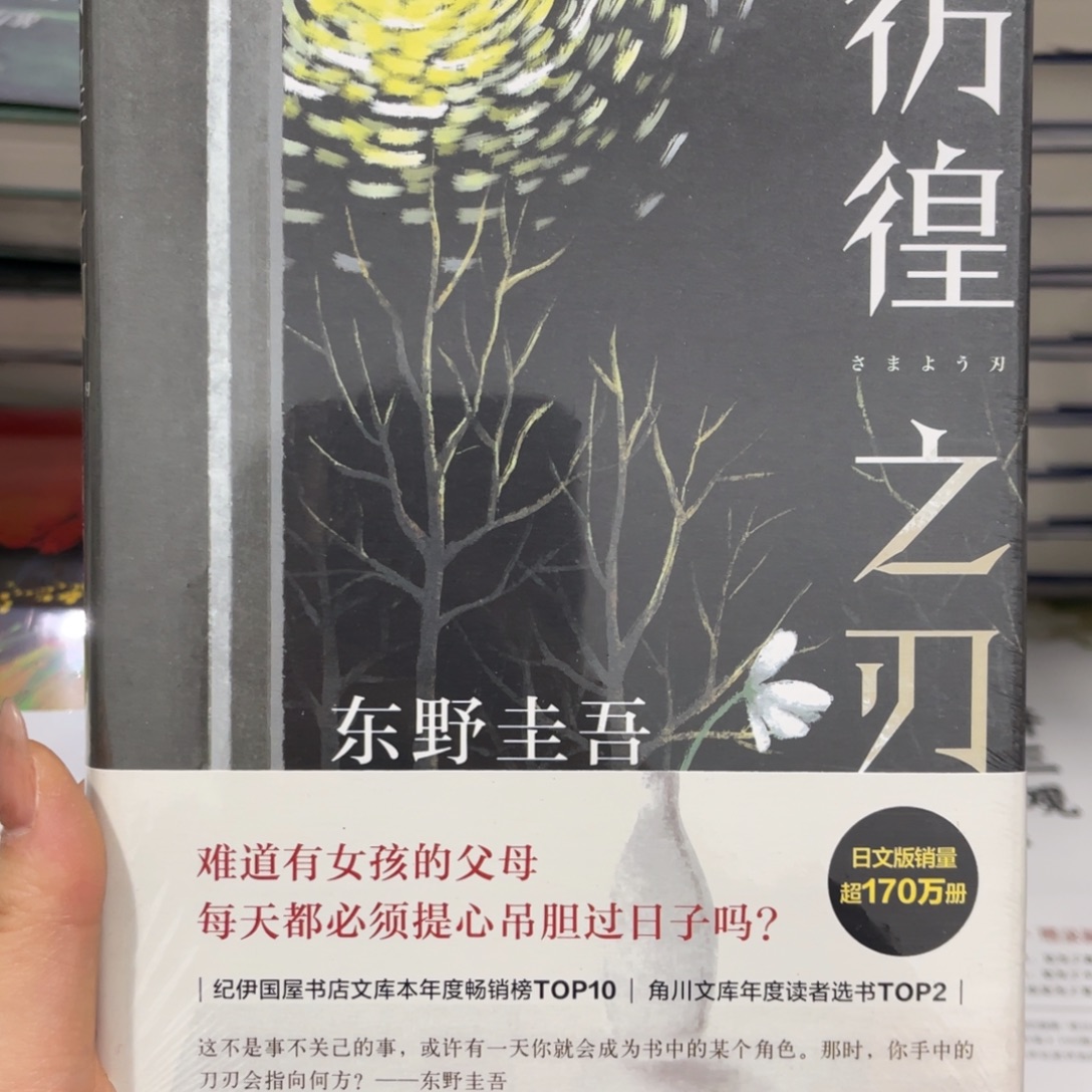 彷徨之刃精装^_^^_^