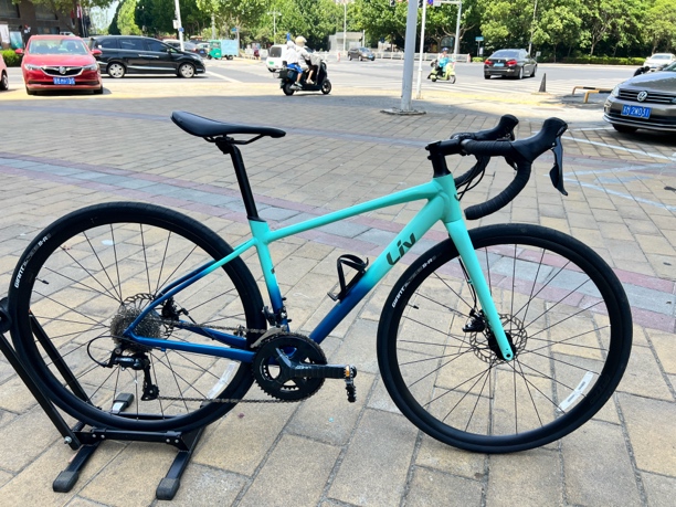 GINAT LIV AVAIL AR3 公路车 XS码 原厂配置