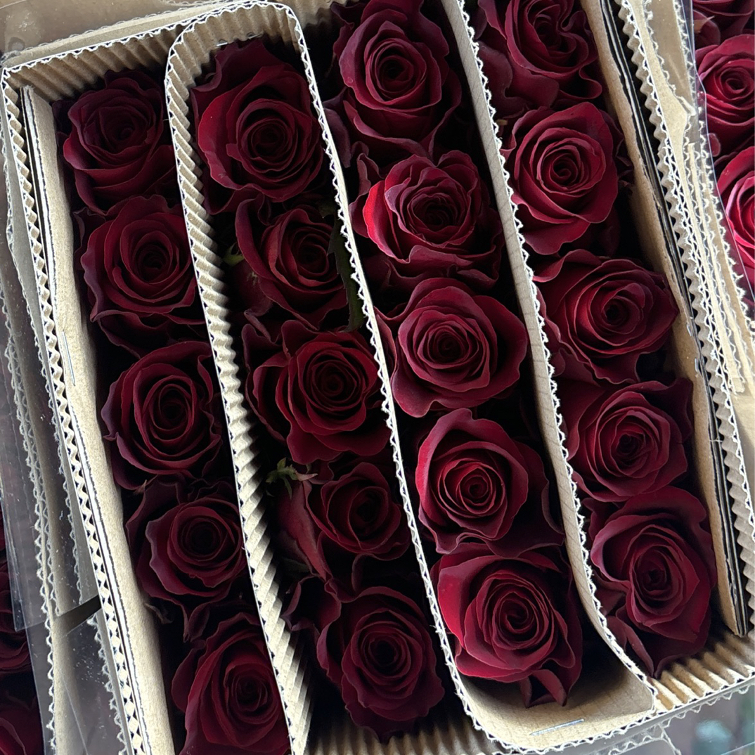 (高原红）红色单头玫瑰 (同一地址两单送配草，三单送花瓶）