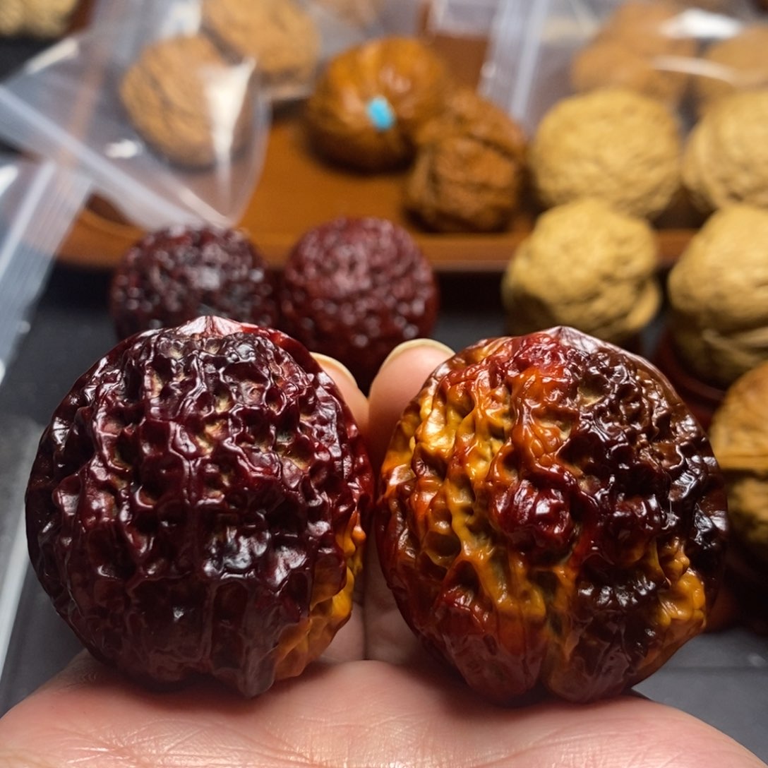 文玩核桃把件45尺金狮绣球