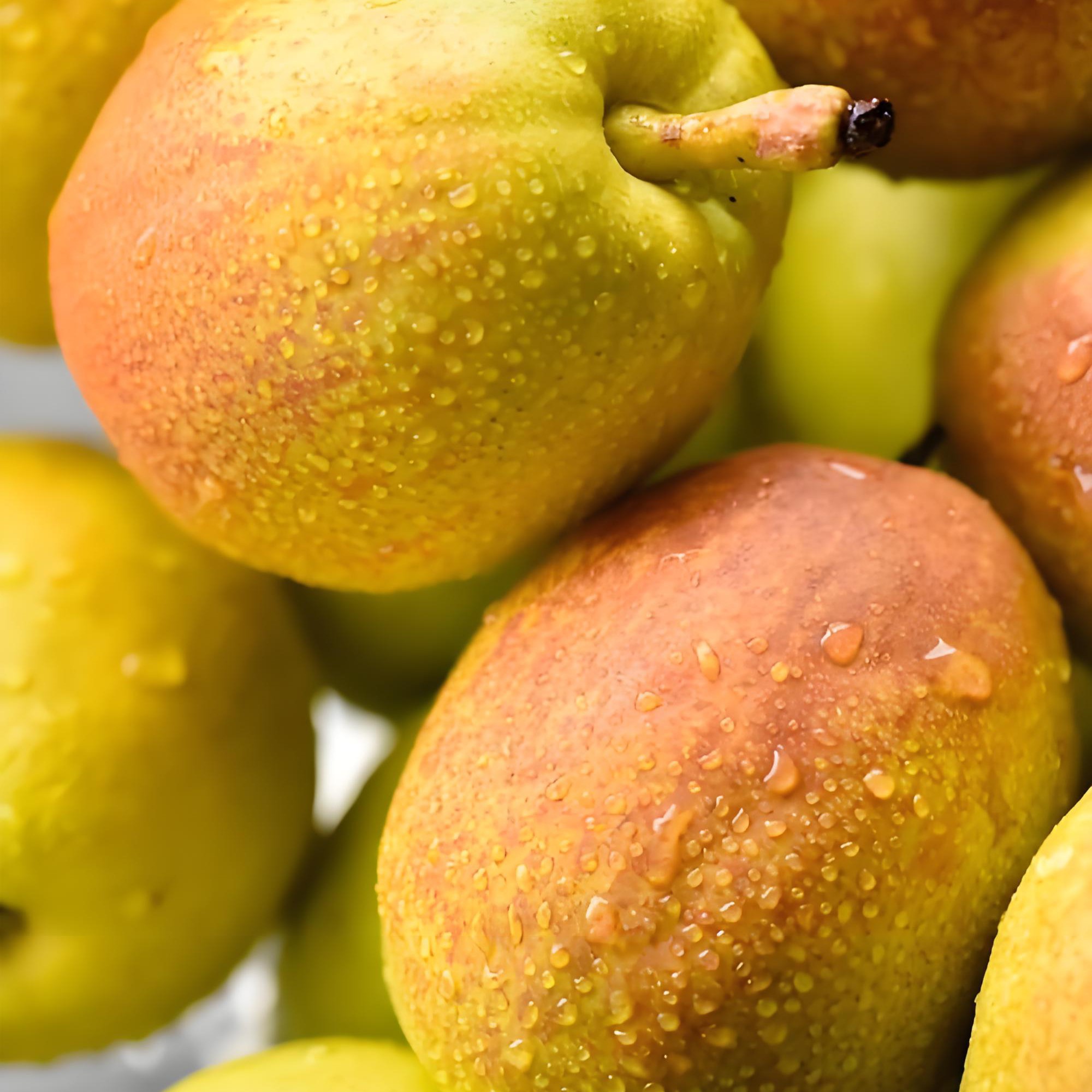 库尔勒香梨一盒 1.5斤