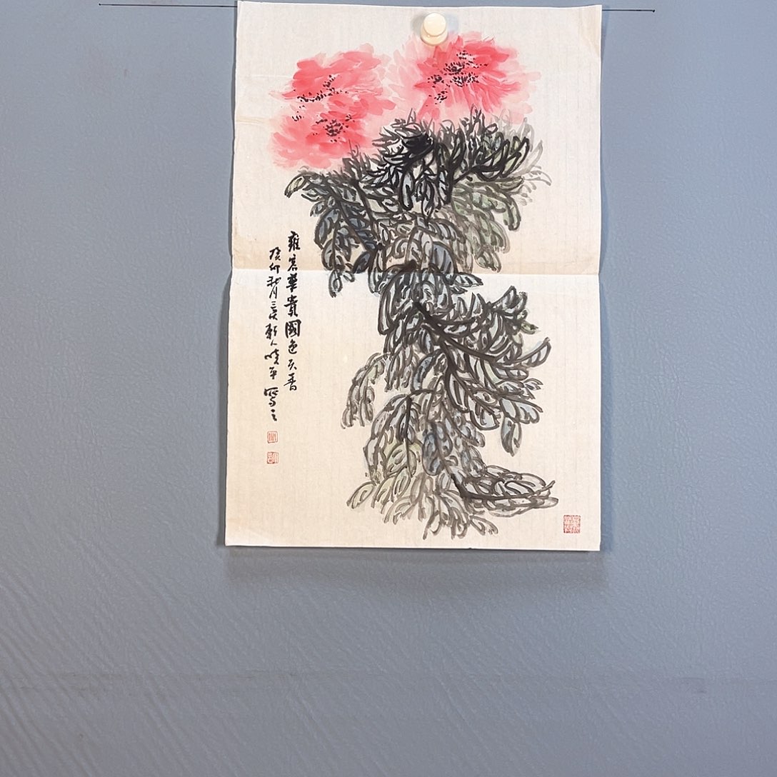 国画478 花红艳绿之美称的白