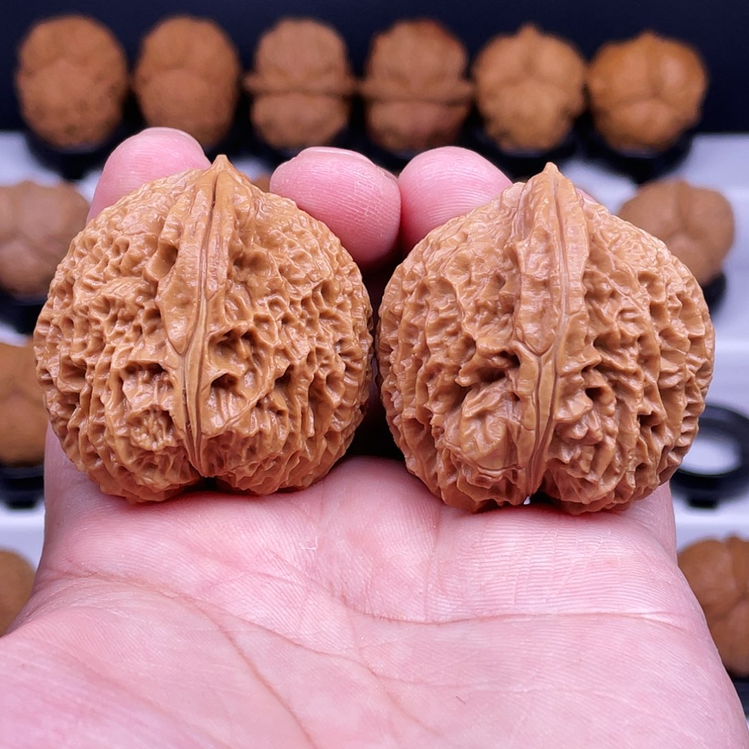 吊坠文玩核桃粗筋臻龙42尺