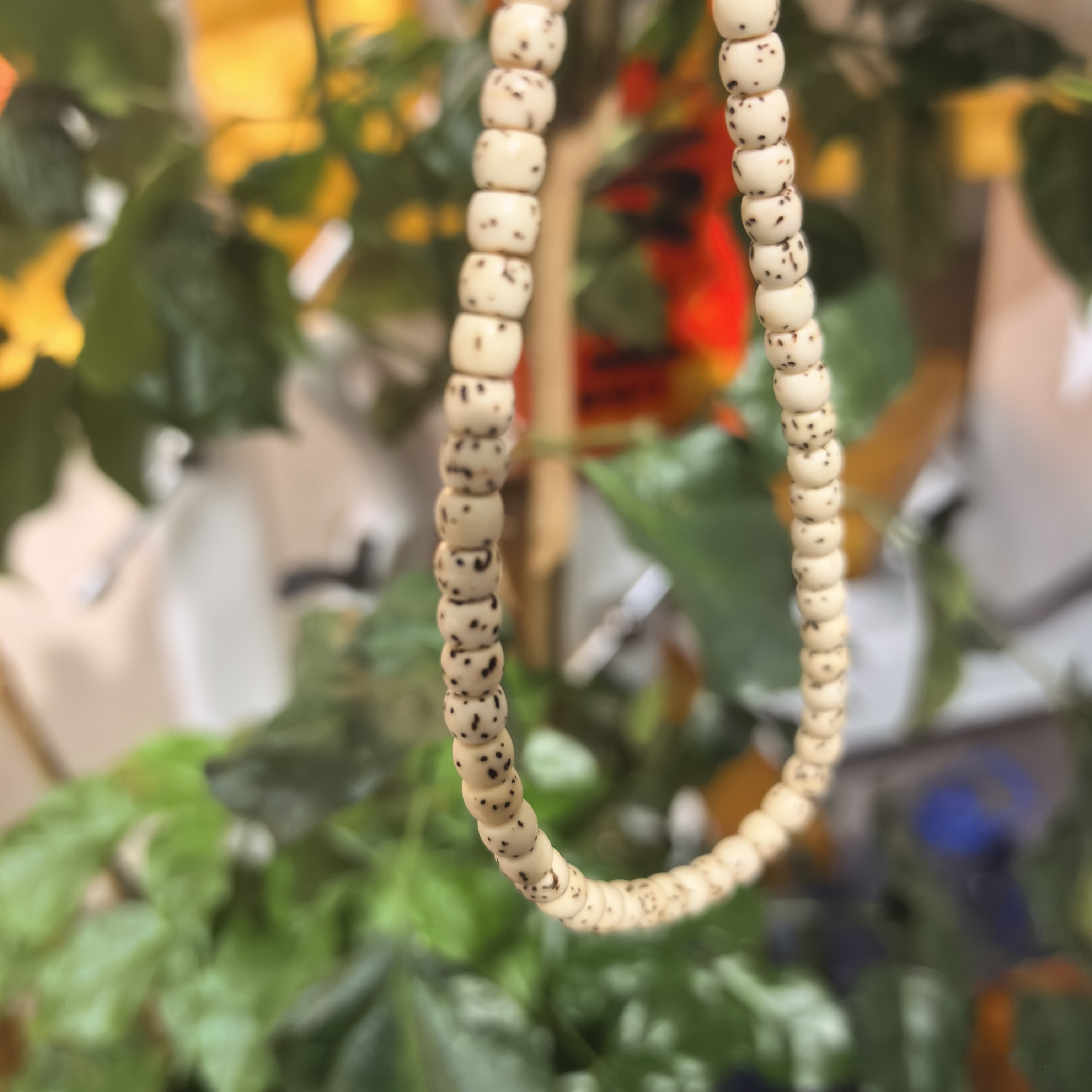 星月菩提纯天然原平原色