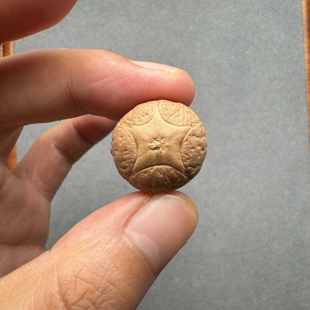 20+五星菩提凤眼手串三通佛头，凸眼派大星。非质量问题开孔不退