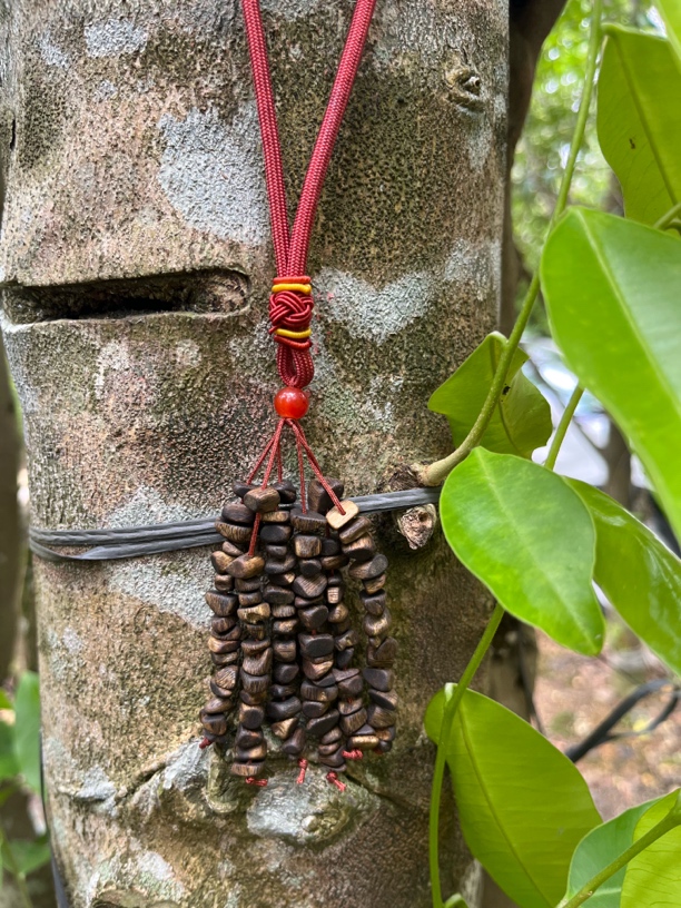 沉香新款！奇楠沉香加量车挂多样性发一