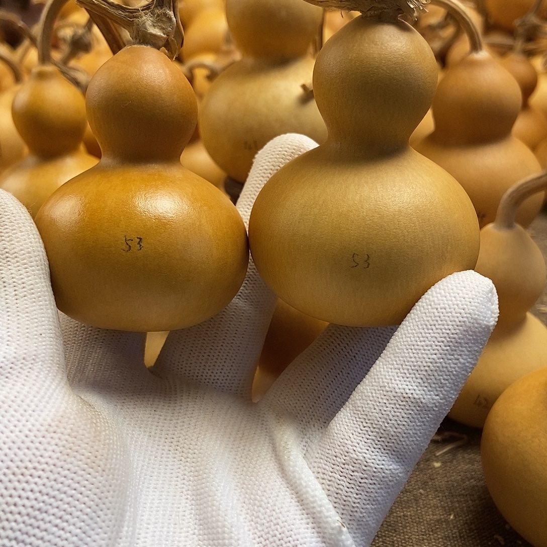 文玩葫芦 完美主义者 慎拍53