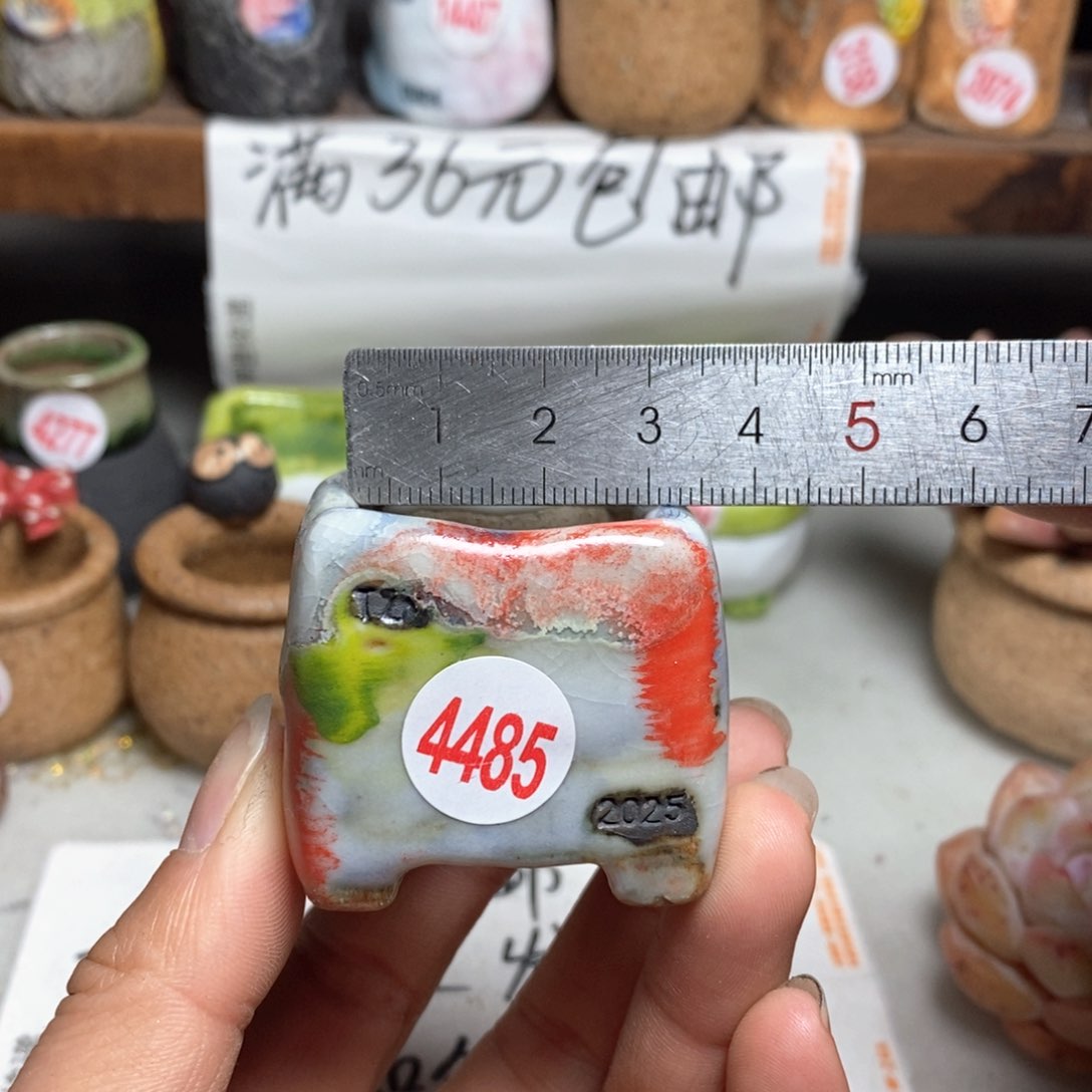 红陶拍5送一个小