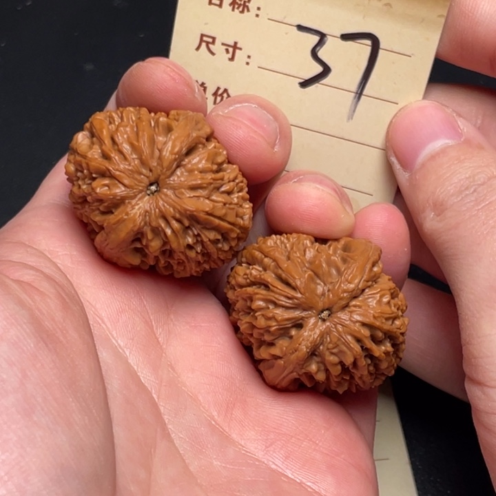 文玩核桃把件大蒜头33尺以打底37