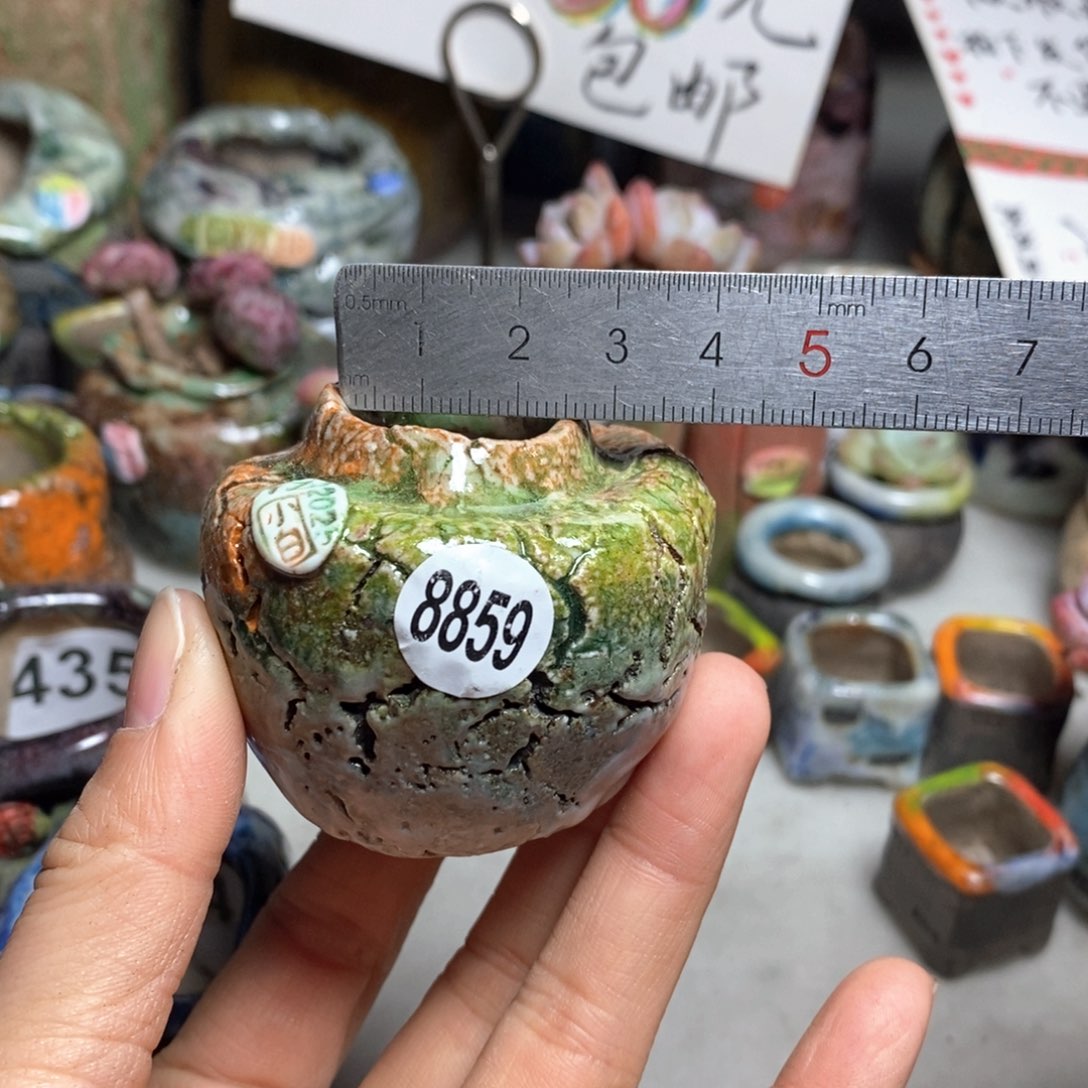 花盆特价处理不退不换