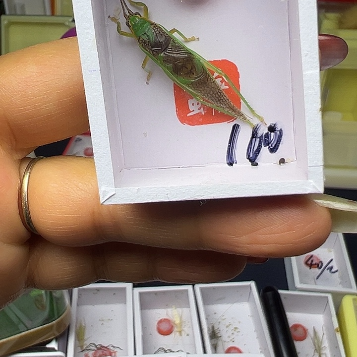 敏***敏哈哈哈哈哈哈哈哈哈哈哈哈哈哈