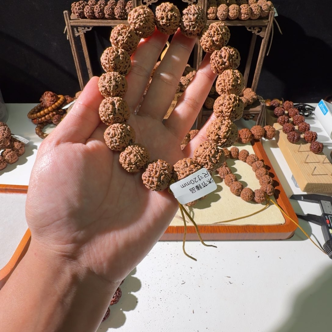 手串金刚菩提20尺寸蜂王