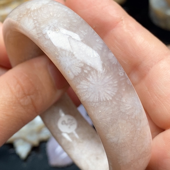 硅化珊瑚（珊瑚玉）手镯未镶嵌55